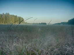 IMGP8368_HDR_Morgendug